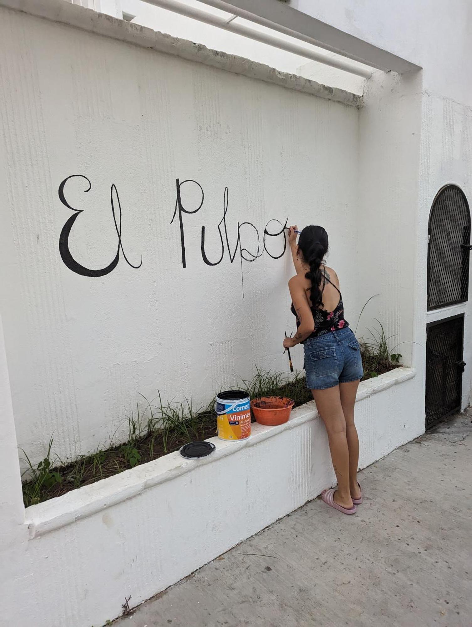 El Pulpo - Ac - Internet Starlink - Hot Water Hotel Puerto Escondido  Kültér fotó